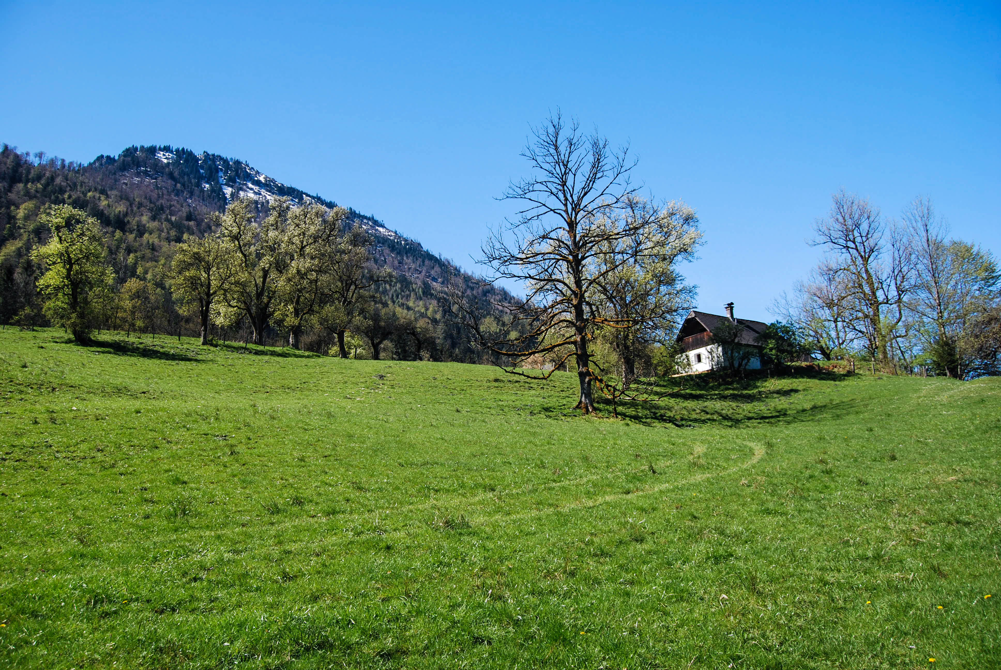 Krajina v okolí jazera Lunz am See