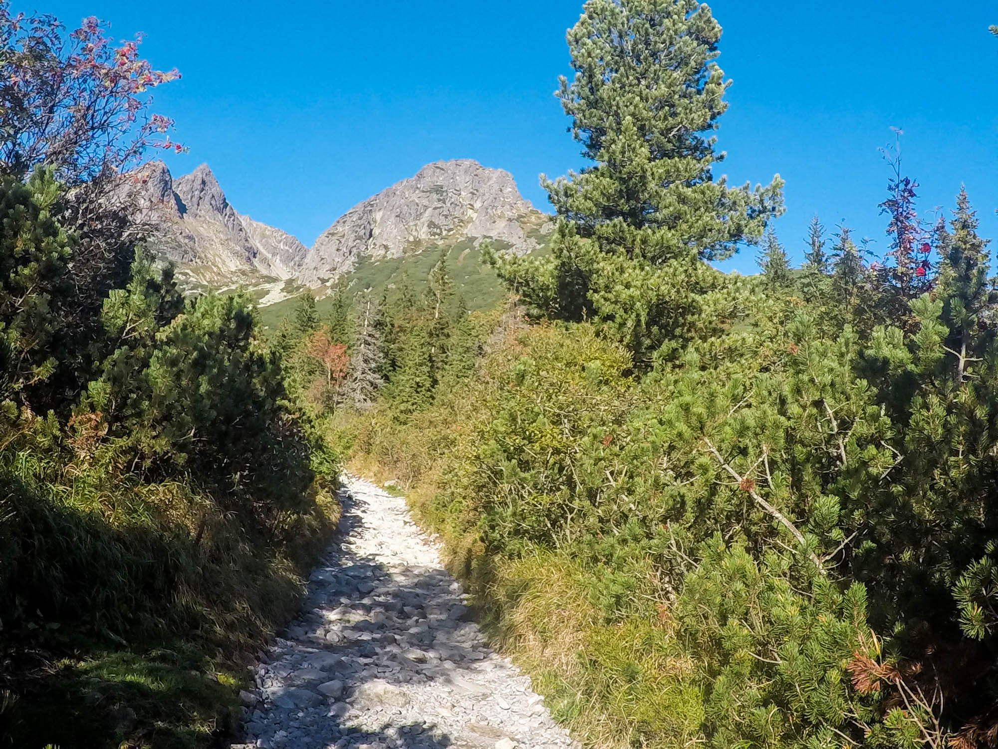 Cesta na Zelené pleso, v pozadí Kozí štít.