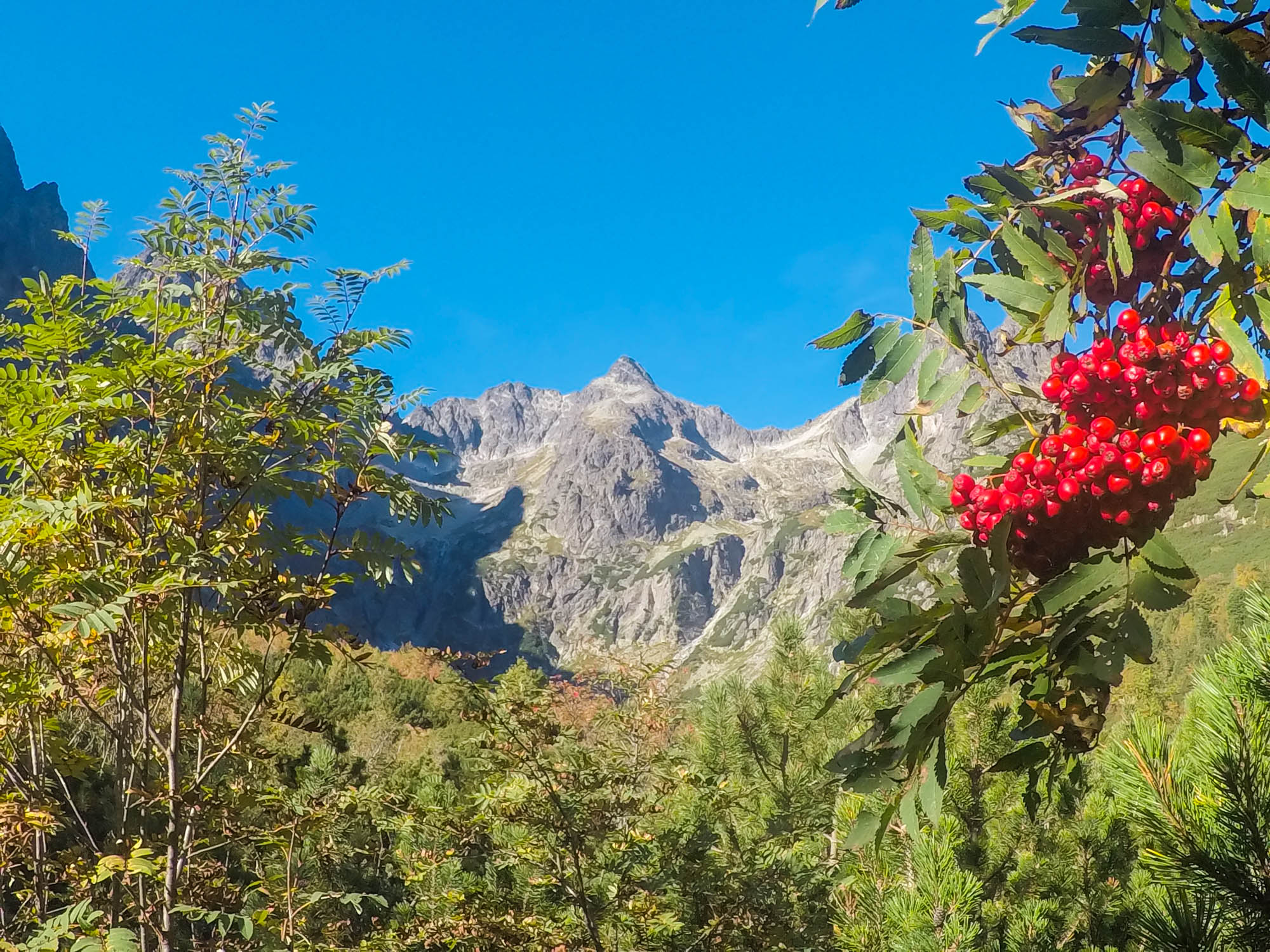 Baranie rohy a Čierny štít cestou na Zelené pleso.