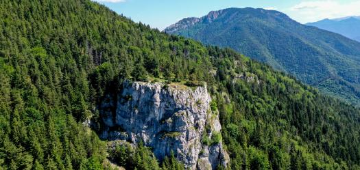 Čerenova skala, Slovensko