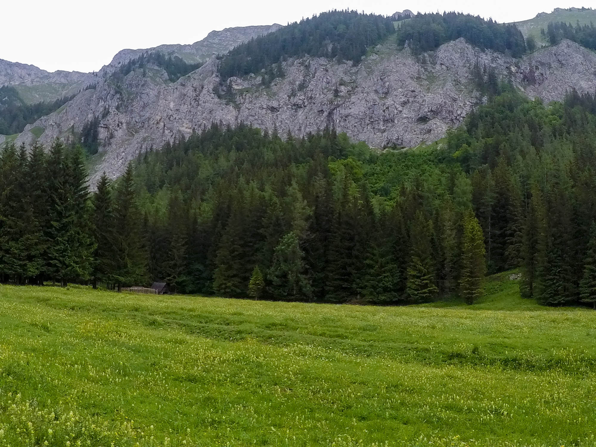 Túra začala z dedinky Seewiesen (974 m) popri lúkach a pastvinách