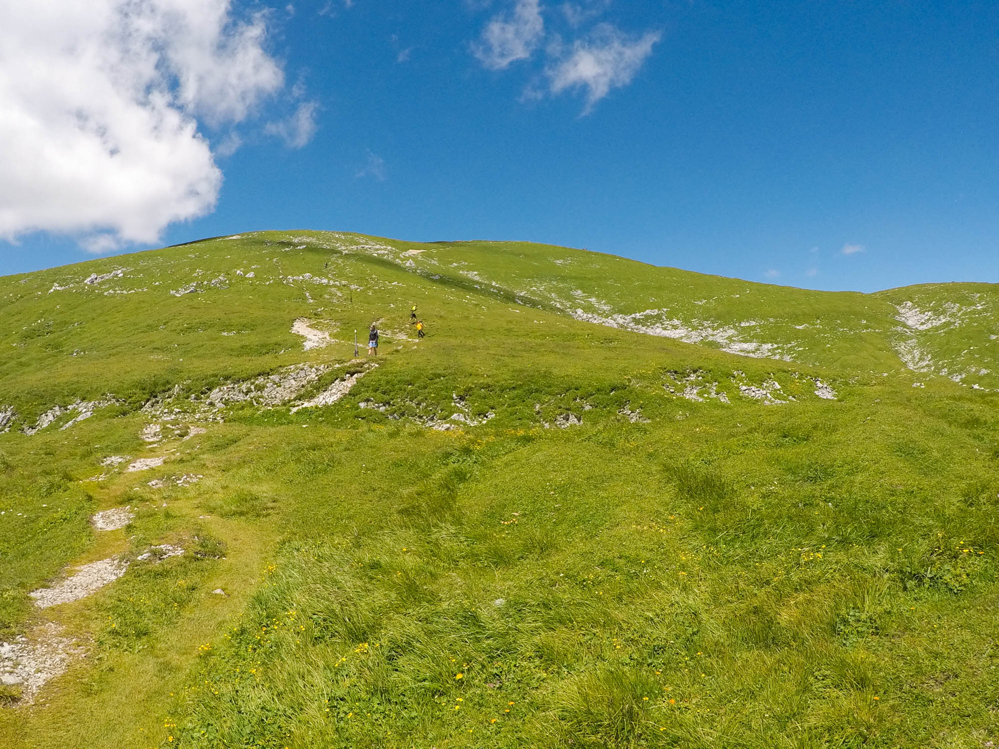 Na vrchol Hohe Veitsch vedie cesta z južnej strany