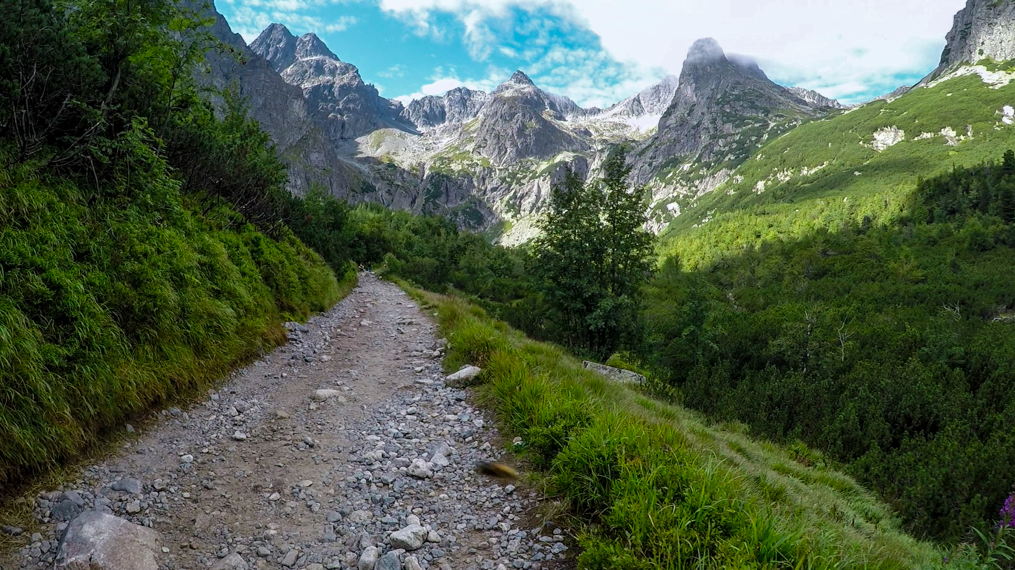 Notoricky známa cesta na Zelené pleso.