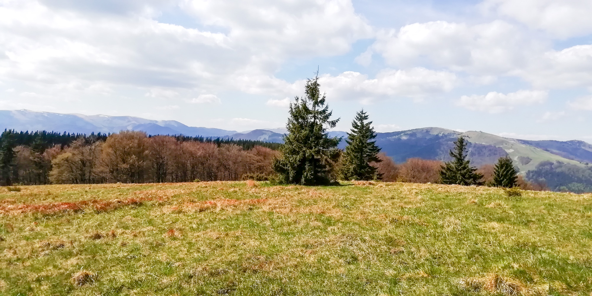 Na vrchu Kečka, pohľad na vrch Zvolen nad Donovalmi.