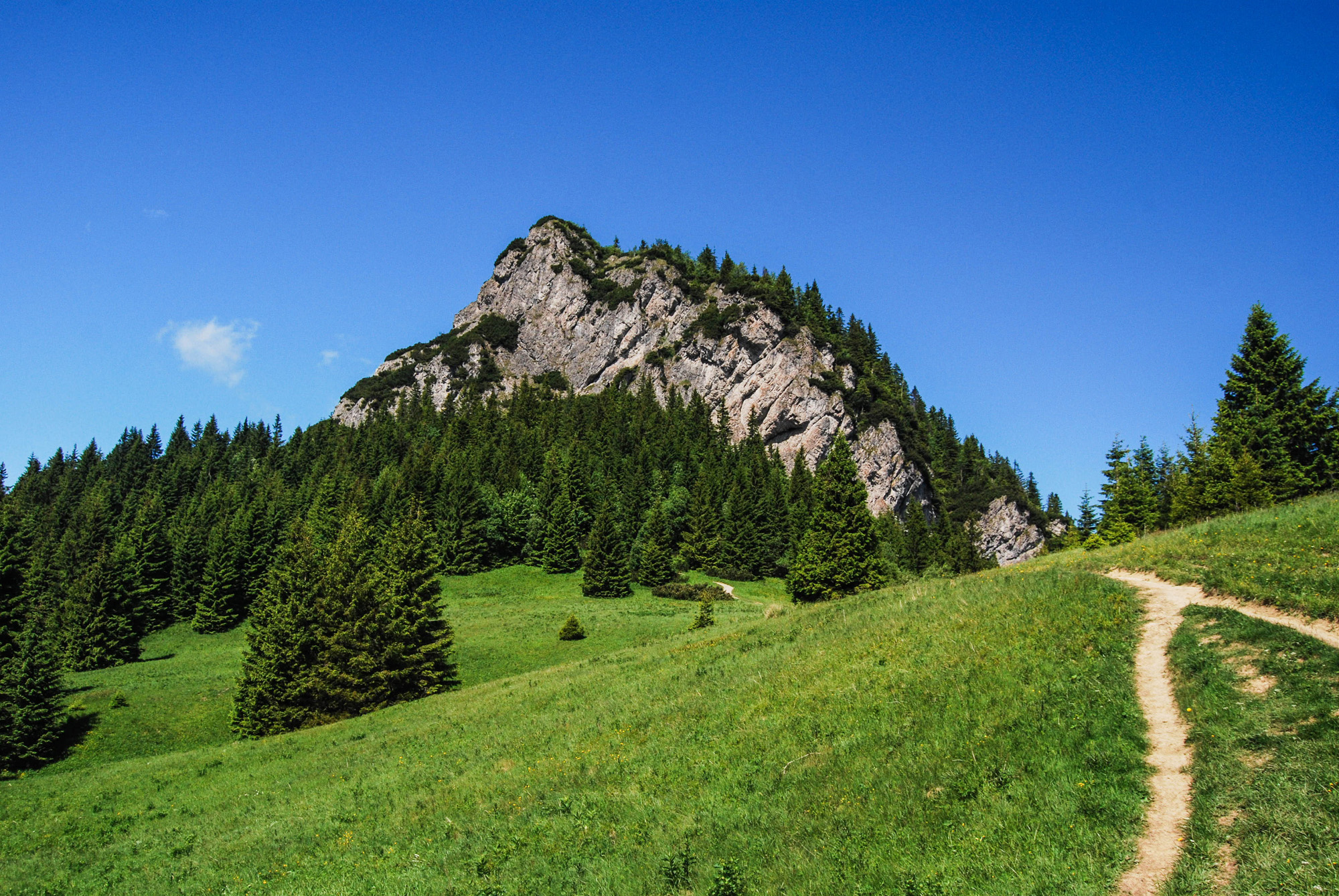 Malý Rozsutec (1344 m)