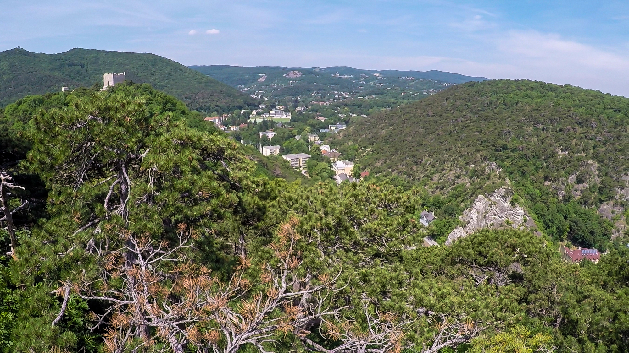 Najvyšší bod je Frauenstein (350 m) s výhľadom na zrúcaninu hradu Mödling.