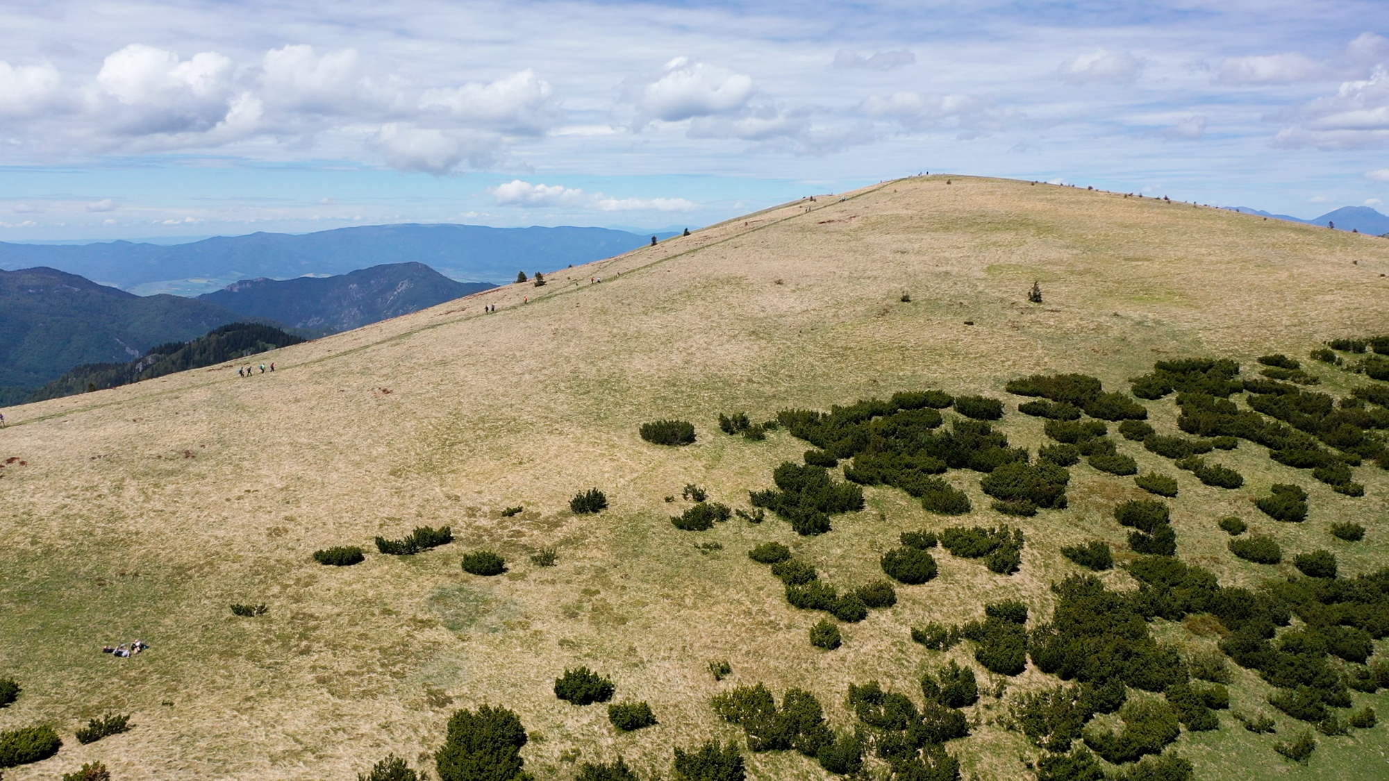 Ostredok (1596 m), najvyšší vrch Veľkej Fatry.