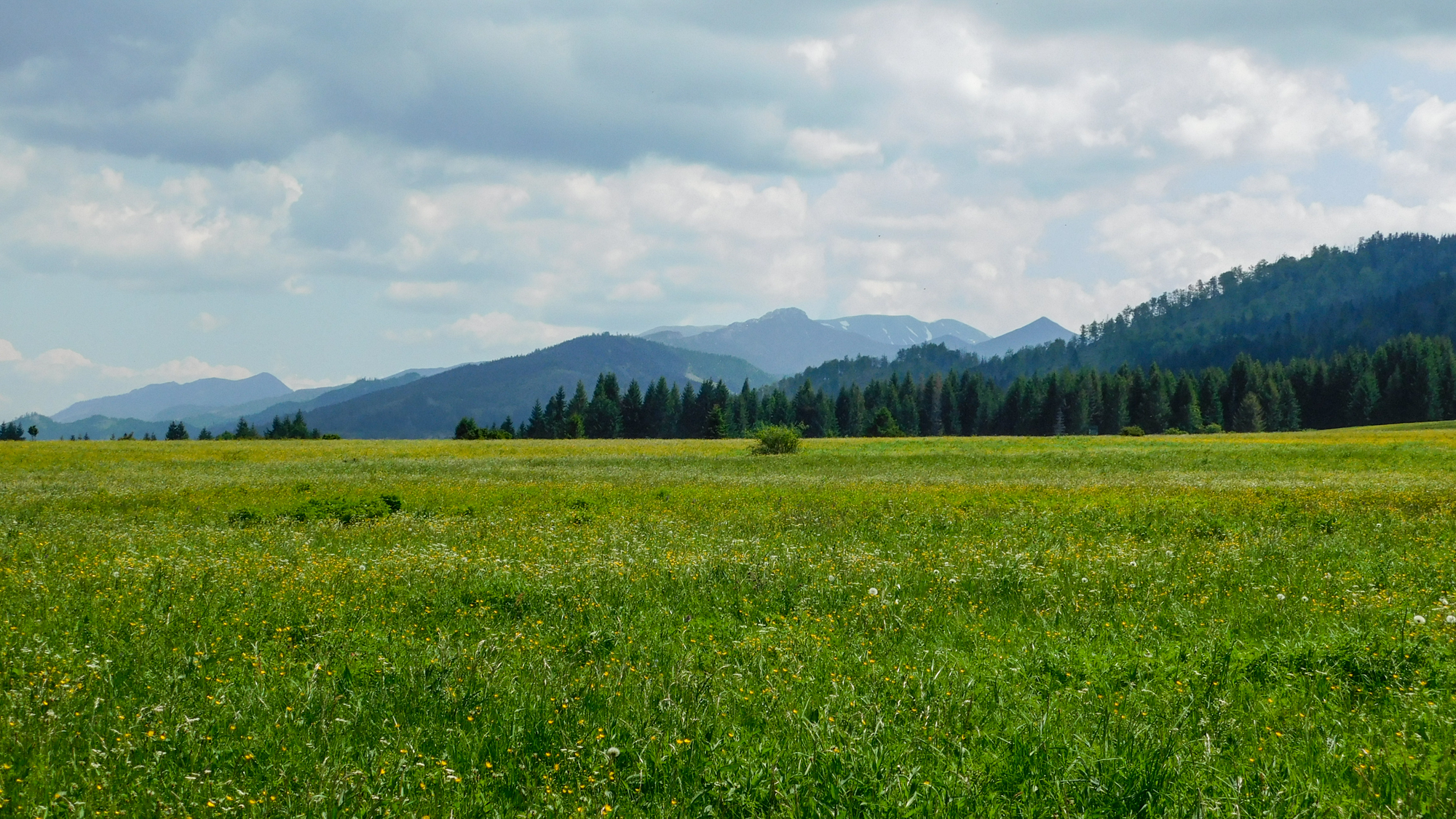 Výhľad na Západné Tatry