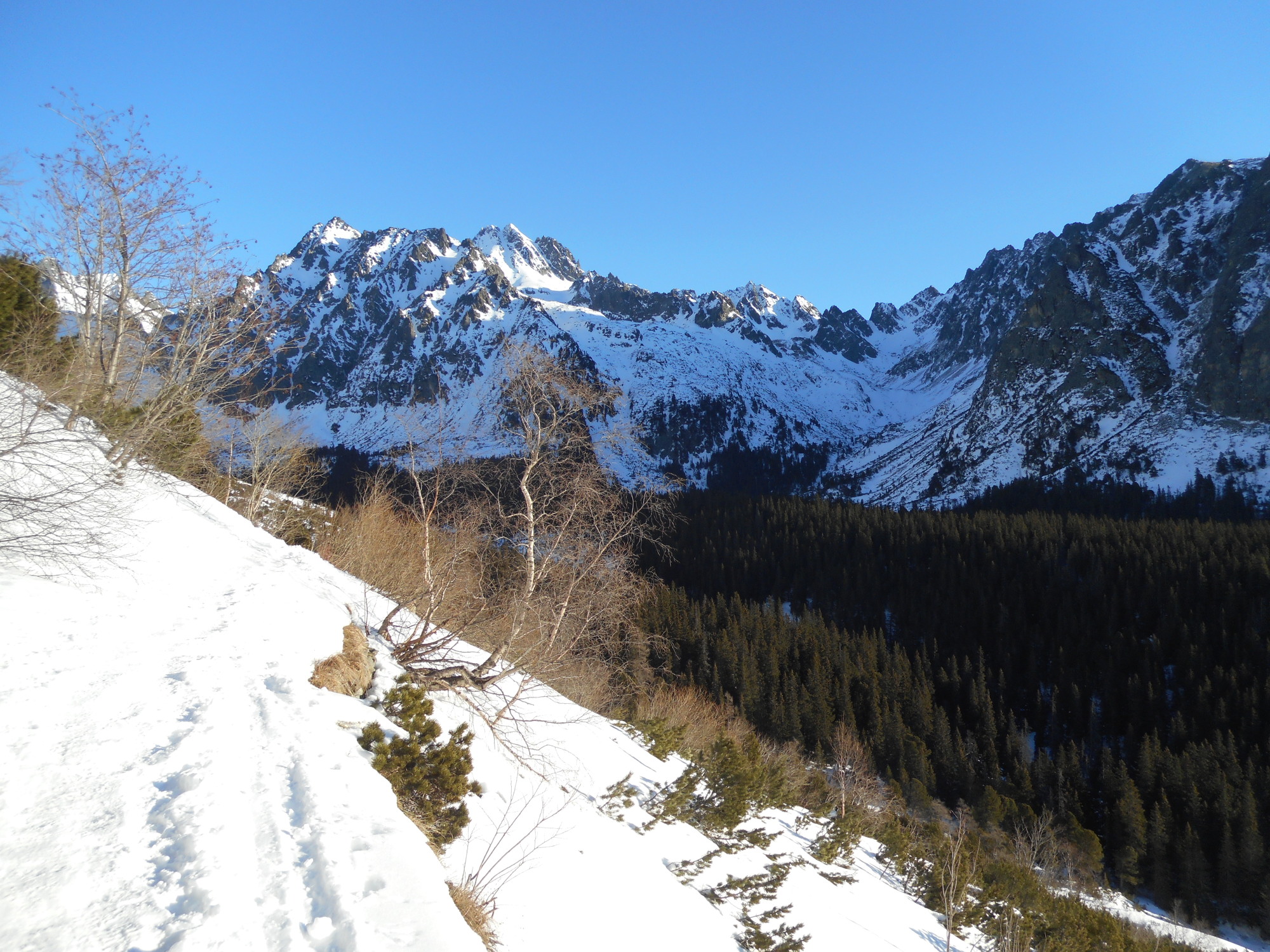 Cesta na Popradské pleso, pohľad na Zlomiskovú dolinu