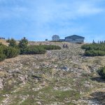 Photo 11: View of the Schafberg summit with Hotel Schafbergspitze during the final ascent