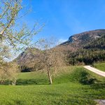 Photo 2: Country road through meadows above the village of St. Wolfgang