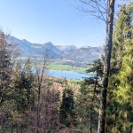Photo 3: View through the forest of Lake Wolfgangsee and the surrounding mountains during the ascent