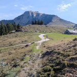 Photo 4: Schafbergalm mountain meadow with the Schafberg summit in the background - where I arrived after an hour of ascent through the forest