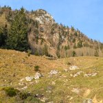 Foto 3: Otvorená horská lúka so skalnatým bralom Sparber v pozadí počas stúpania