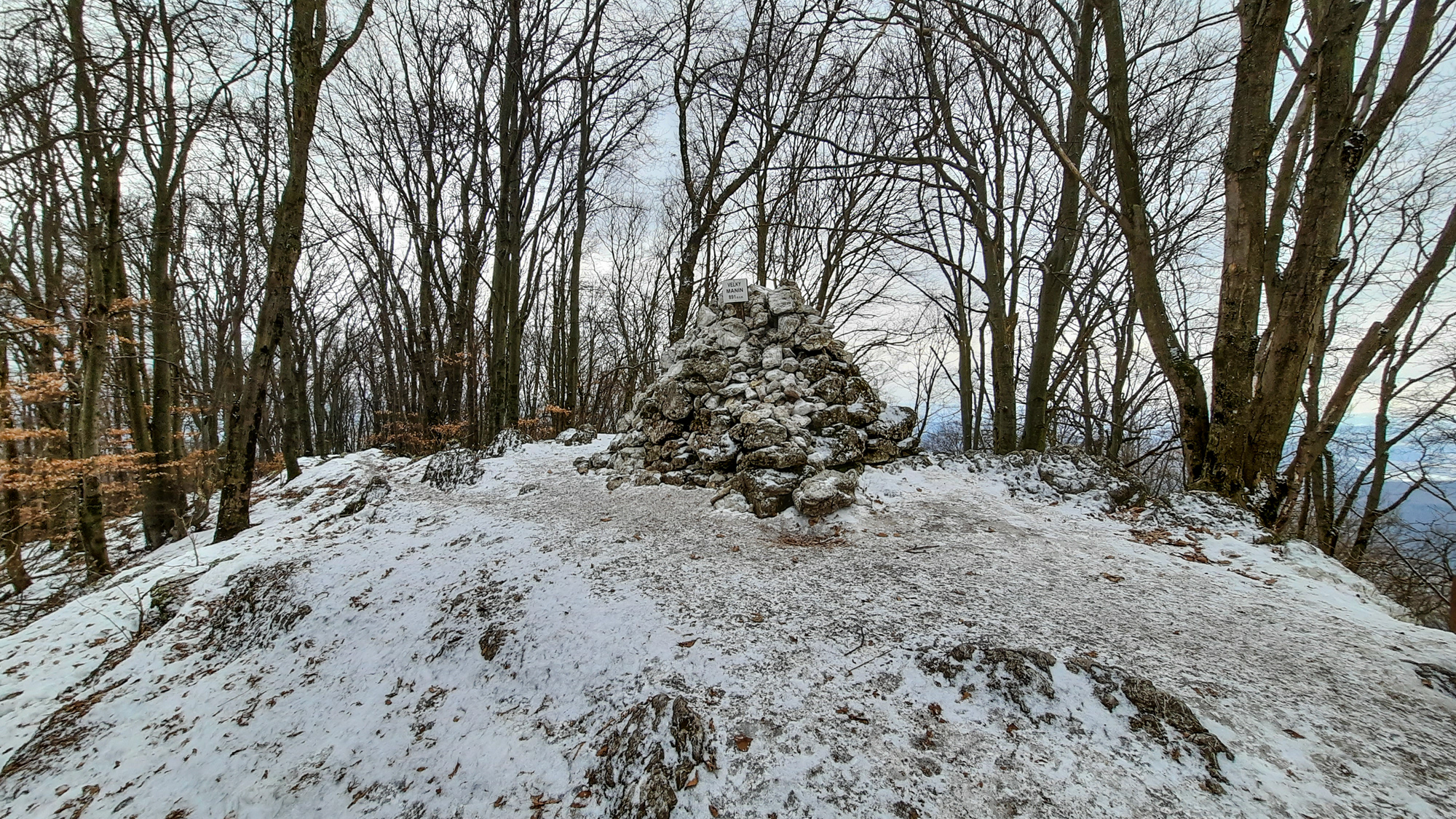 Z vrcholu Veľkého Manína nie sú žiadne výhľady.