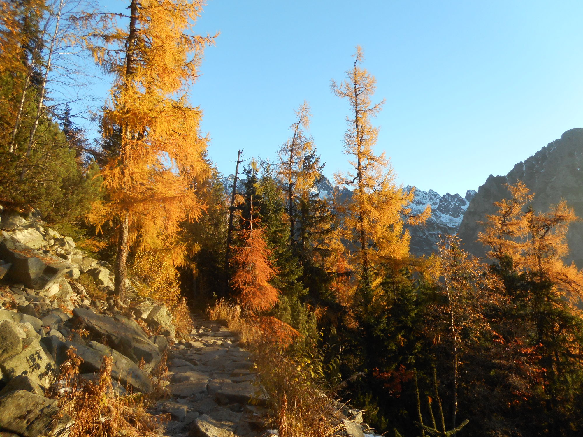 Jesenná cesta na Popradské pleso