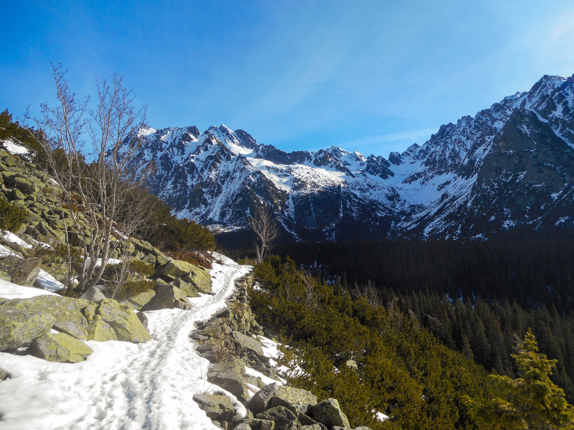 Cesta na Popradské pleso