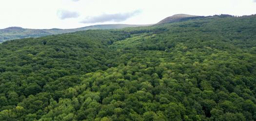Vtáčnik, Slovensko