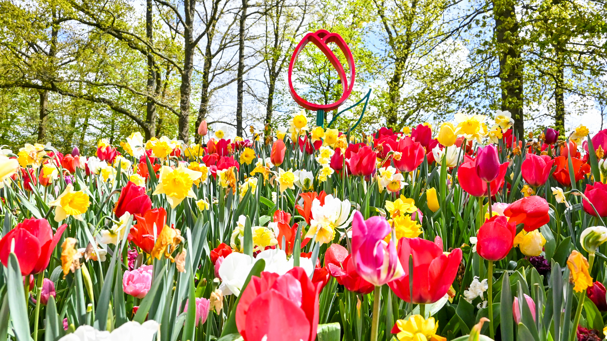 Keukenhof (