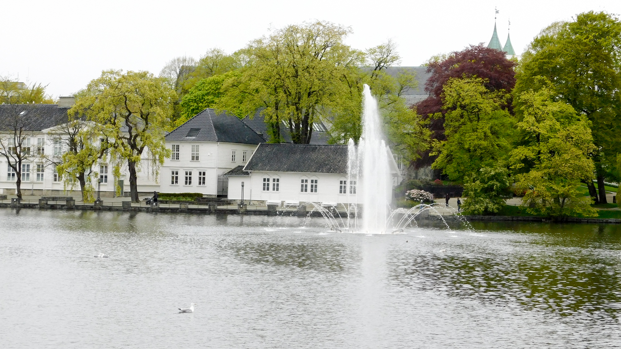 Jazero Breiavatnet v centre Stavangeru